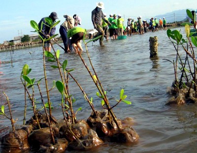 Vietnam celebra el Día Mundial del Medio Ambiente